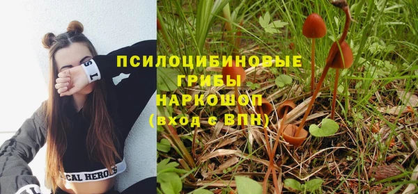 скорость Алзамай